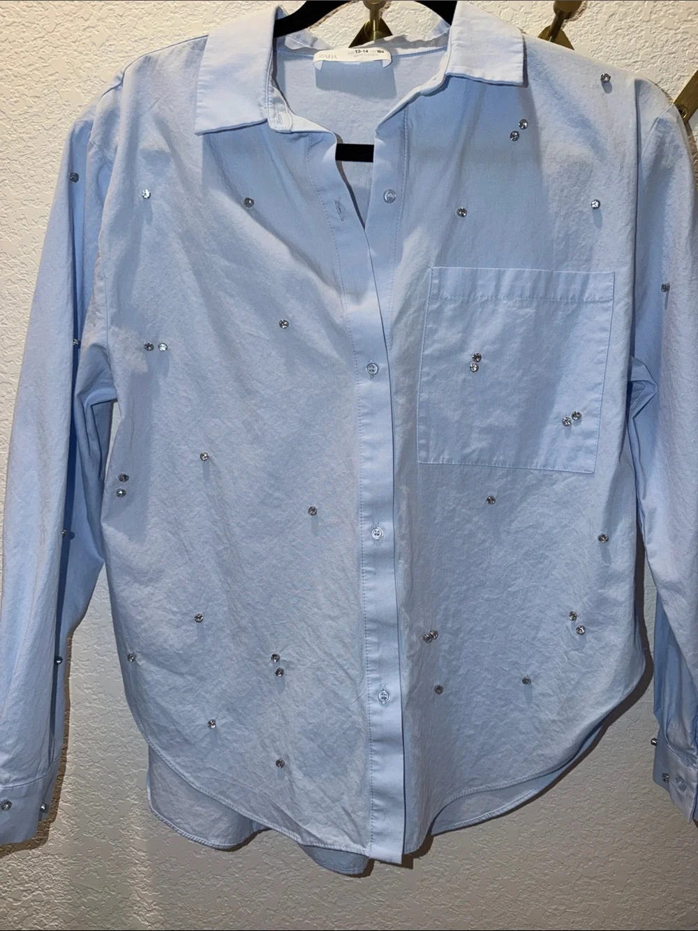 Zara Light Blue Crystal-Embellished Button-Down Shirt